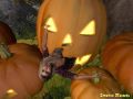 Amanda-Masters-hungry-pumpkin