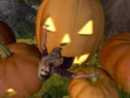 halloween-clean-up